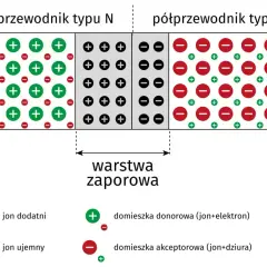 Schemat półprzewodnika typu N i P z warstwą zaporową. Pokazuje jony dodatnie i ujemne, domieszki donorowe i akceptorowe. Amplituda fali w tym kontekście to maksymalne wychylenie od położenia równowagi.