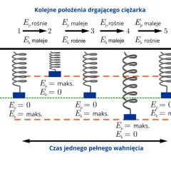 Przemiana energii w ruchu drgającym: sprężyna z ciężarkiem pokazuje, jak energia potencjalna (Ep) i kinetyczna (Ek) zamieniają się w cyklu.