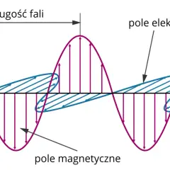 Wykres przedstawia fale elektromagnetyczne: pole elektryczne (fioletowe) i magnetyczne (niebieskie) oscylują prostopadle do kierunku ruchu fali. Długość fali zaznaczona.