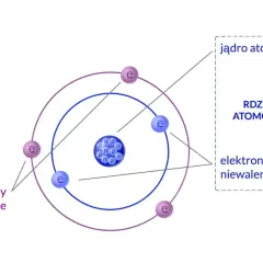 Schemat budowy atomu w fizyce: jądro z protonami (p) i neutronami (n) oraz krążące elektrony (e). Elektrony walencyjne i niewalencyjne.