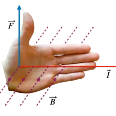 Dłoń ilustruje właściwości magnetyczne przewodnika z prądem. Kciuk wskazuje siłę (F), palce prąd (I), a pole magnetyczne (B) przenika dłoń.