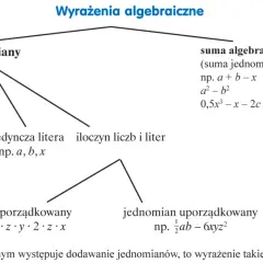 Schemat przedstawia podział wyrażeń algebraicznych na jednomiany i sumy algebraiczne. Przykłady obejmują liczby, litery, iloczyny, jednomiany uporządkowane i nieuporządkowane.