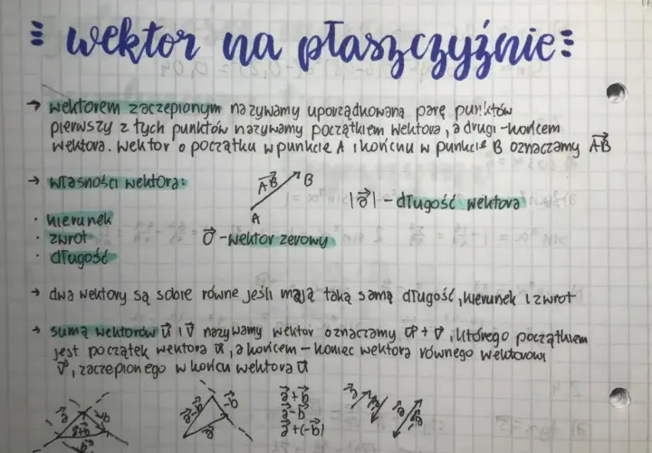 Wektor to uporządkowana para punktów, mająca kierunek, zwrot i długość. Na rysunku widać przykłady wektorów i ich sum.