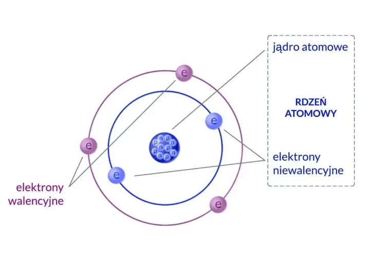 Schemat budowy atomu w fizyce: jądro z protonami (p) i neutronami (n) oraz krążące elektrony (e). Elektrony walencyjne i niewalencyjne.