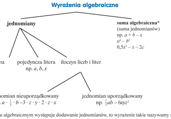Schemat przedstawia podział wyrażeń algebraicznych na jednomiany i sumy algebraiczne. Przykłady obejmują liczby, litery, iloczyny, jednomiany uporządkowane i nieuporządkowane.