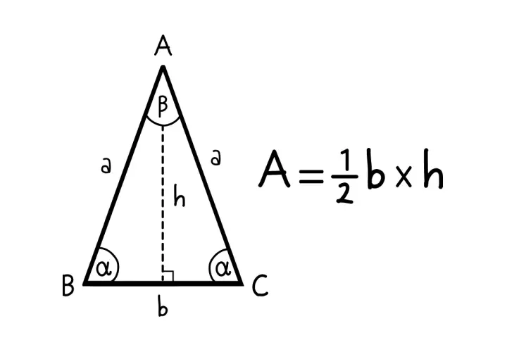 Wzór na pole trójkąta: A = ½ b × h. Pokazano trójkąt z zaznaczoną wysokością (h) opuszczoną na podstawę (b).