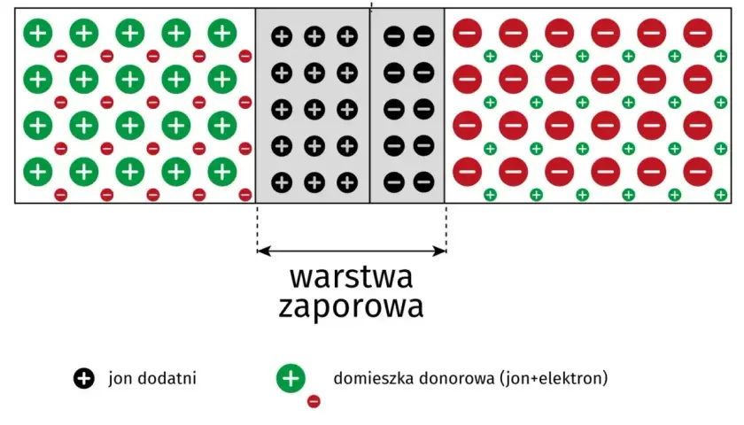 Schemat półprzewodnika typu N i P z warstwą zaporową. Pokazuje jony dodatnie i ujemne, domieszki donorowe i akceptorowe. Amplituda fali w tym kontekście to maksymalne wychylenie od położenia równowagi.