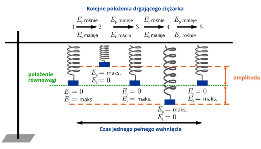 Przemiana energii w ruchu drgającym: sprężyna z ciężarkiem pokazuje, jak energia potencjalna (Ep) i kinetyczna (Ek) zamieniają się w cyklu.
