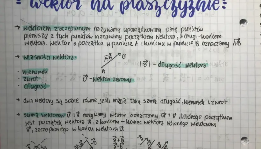 Wektor to uporządkowana para punktów, mająca kierunek, zwrot i długość. Na rysunku widać przykłady wektorów i ich sum.