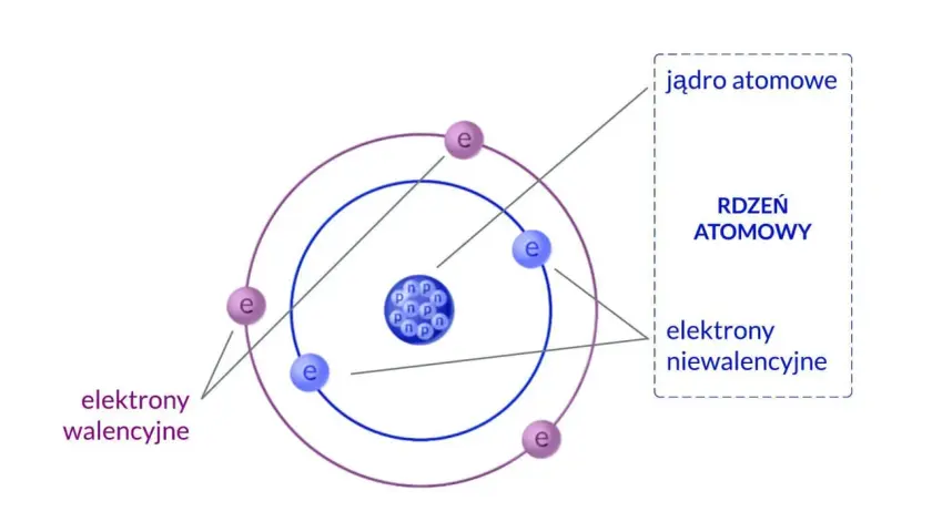 Schemat budowy atomu w fizyce: jądro z protonami (p) i neutronami (n) oraz krążące elektrony (e). Elektrony walencyjne i niewalencyjne.