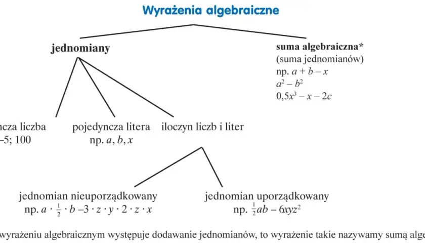 Schemat przedstawia podział wyrażeń algebraicznych na jednomiany i sumy algebraiczne. Przykłady obejmują liczby, litery, iloczyny, jednomiany uporządkowane i nieuporządkowane.