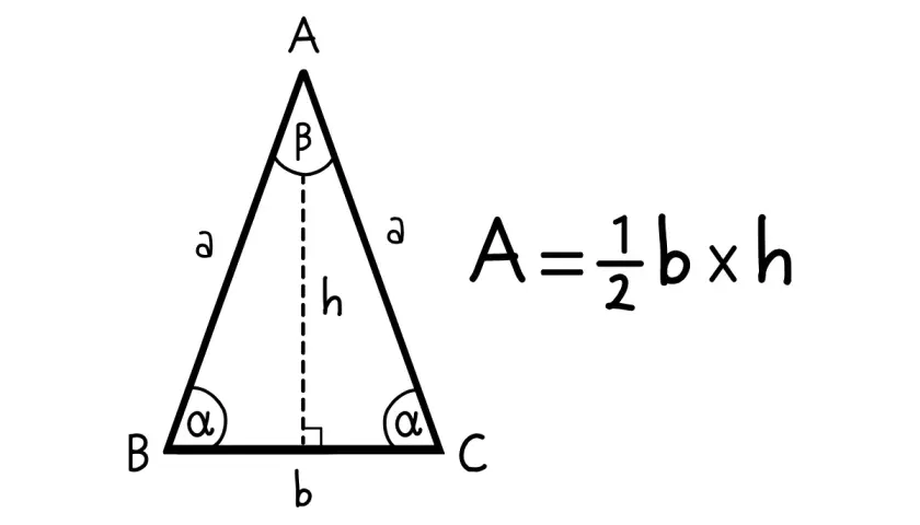 Wzór na pole trójkąta: A = ½ b × h. Pokazano trójkąt z zaznaczoną wysokością (h) opuszczoną na podstawę (b).
