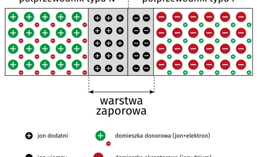 Amplituda - Co to jest i jak ją odczytać? Uniknij pomyłek!