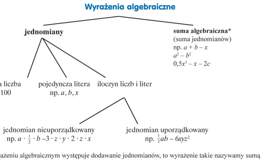 Wyrażenia algebraiczne - jak je zrozumieć i opanować?