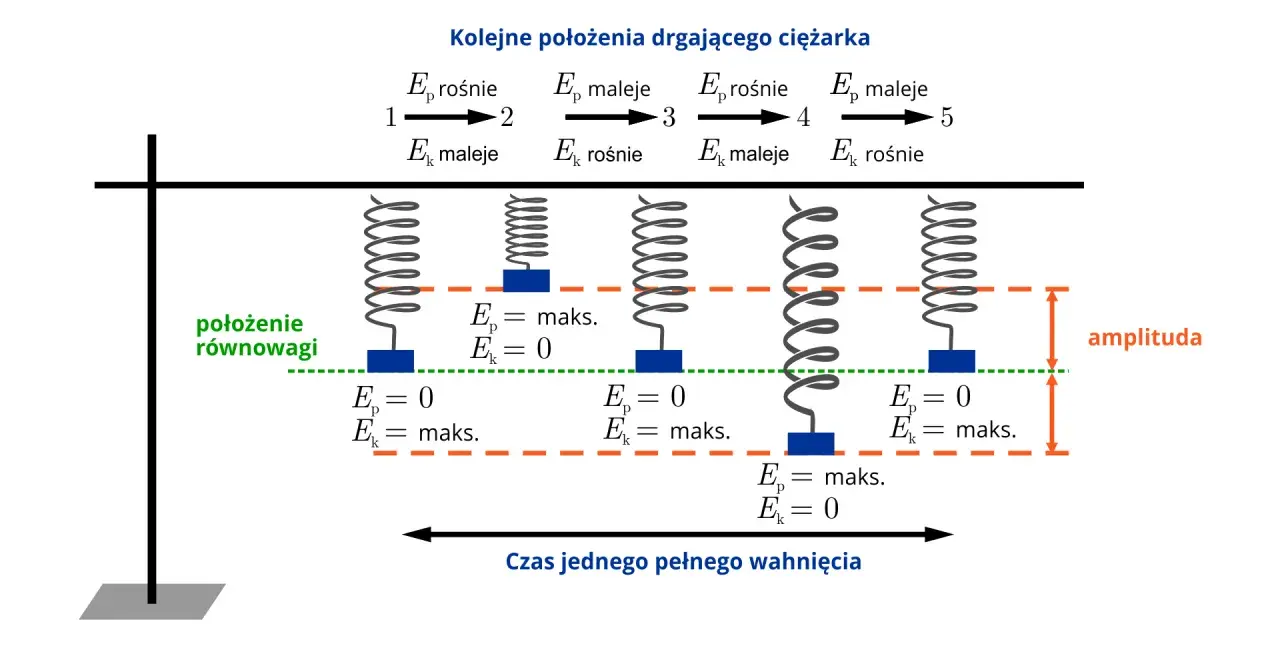 Przemiana energii w ruchu drgającym: sprężyna z ciężarkiem pokazuje, jak energia potencjalna (Ep) i kinetyczna (Ek) zamieniają się w cyklu.