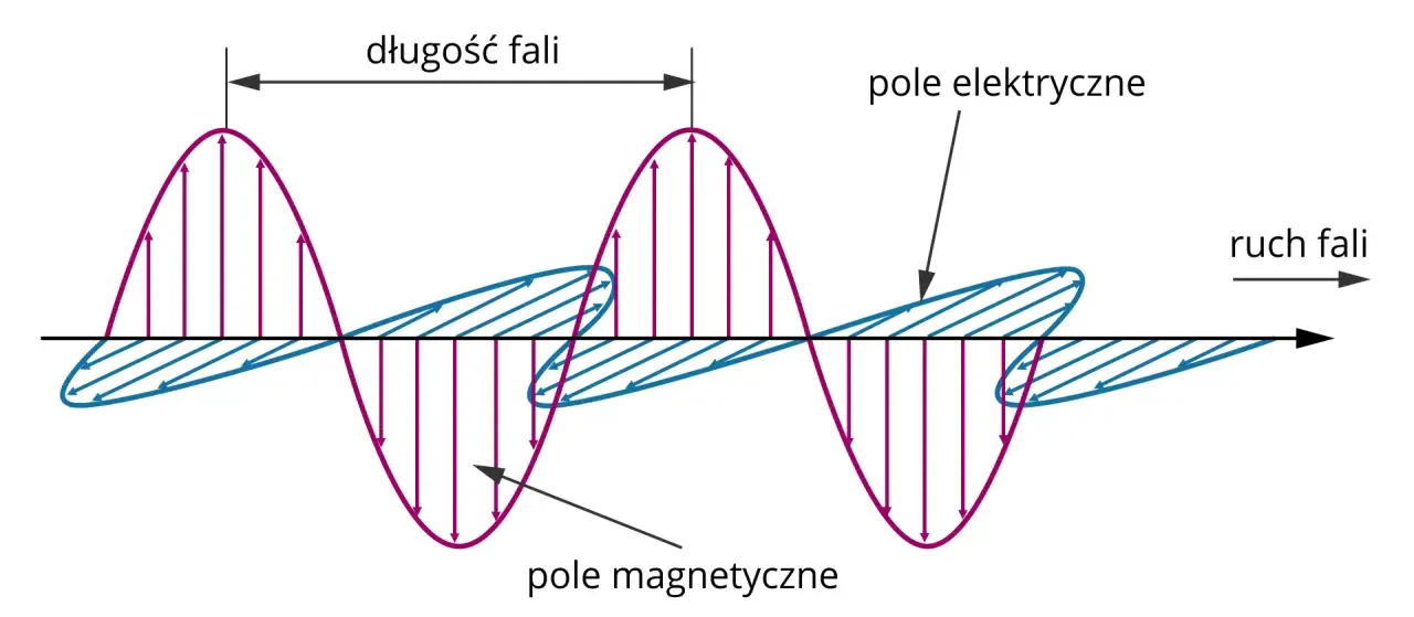 Wykres przedstawia fale elektromagnetyczne: pole elektryczne (fioletowe) i magnetyczne (niebieskie) oscylują prostopadle do kierunku ruchu fali. Długość fali zaznaczona.