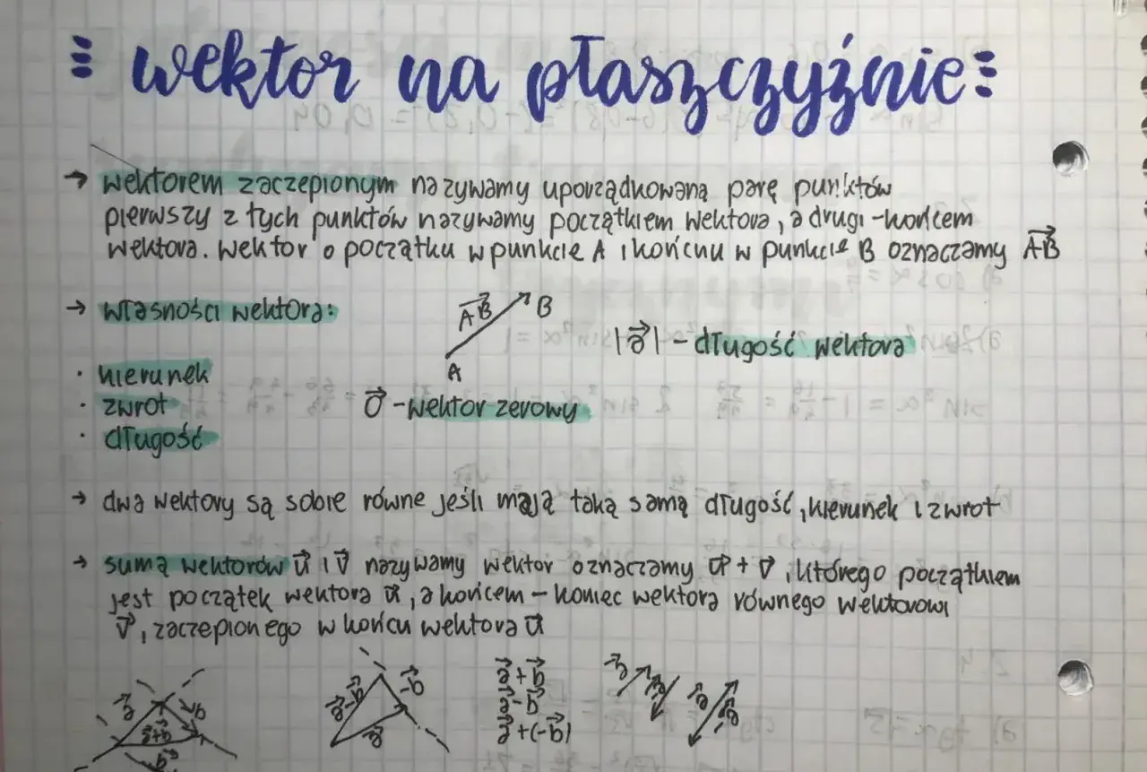 Wektor to uporządkowana para punktów, mająca kierunek, zwrot i długość. Na rysunku widać przykłady wektorów i ich sum.