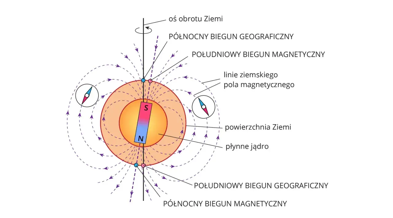 Ilustracja do lekcji magnetyzm klasa 8: Ziemia jako magnes, jej bieguny geograficzne i magnetyczne, linie pola magnetycznego.