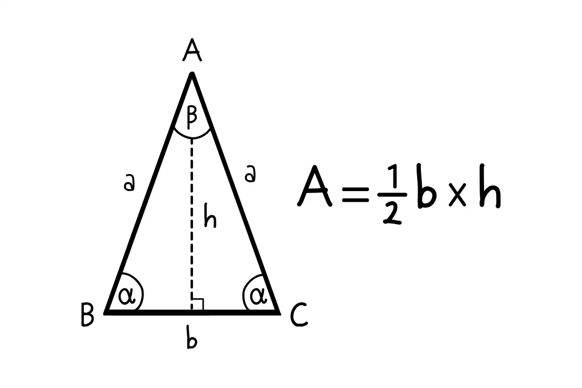 Wzor na pole tr&oacute;jkąta: A = &frac12; b &times; h. Pokazano tr&oacute;jkąt ABC z wysokościami h i bokami a, b.