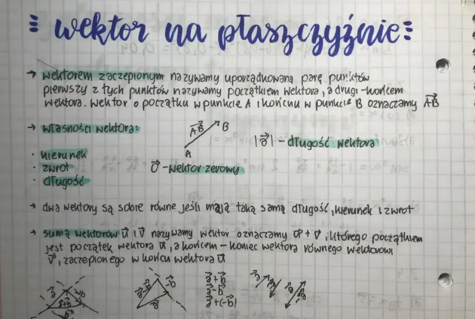 Wektor - Co to jest i jak go zrozumieć? Przewodnik krok po kroku